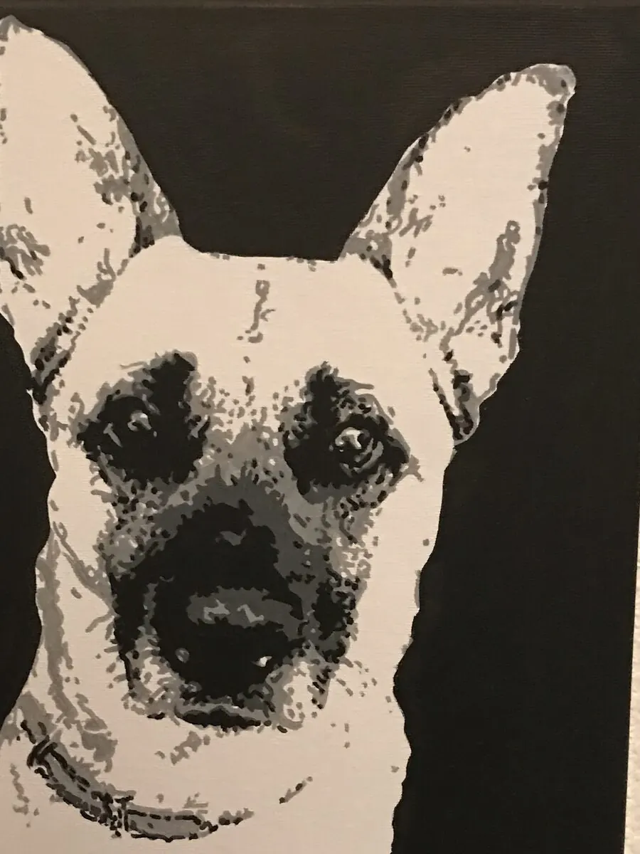 Acrylic portrait of a German shepherd with tall ears on a black background